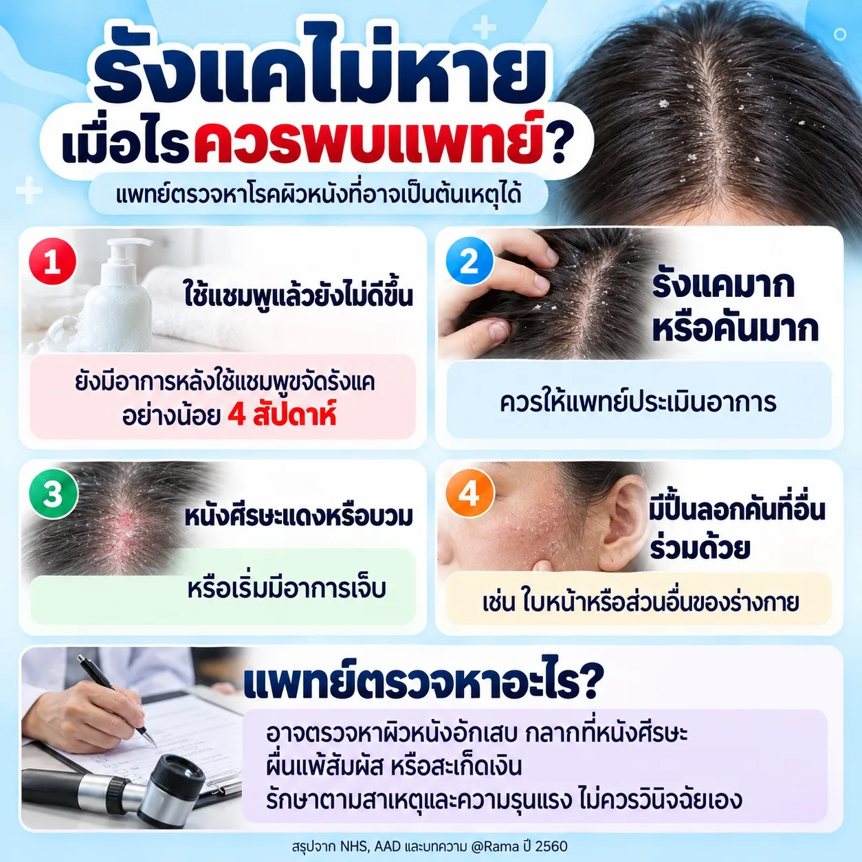 ภาพแสดงอาการรังแคเรื้อรัง คันมาก หนังศีรษะแดงหรือบวม และปื้นลอกคัน พร้อมอธิบายว่าแพทย์อาจตรวจหาโรคผิวหนังที่เป็นสาเหตุ