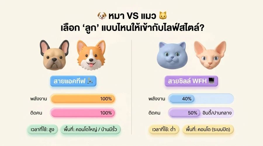 ส่องลิสต์สายพันธุ์ Fur Babies ยอดฮิต โดนใจ