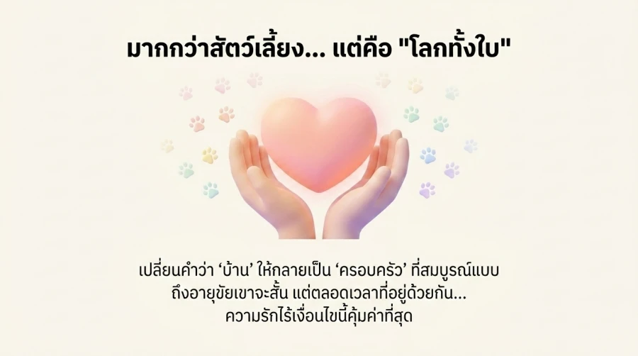 เกย์เลี้ยงสัตว์ เป็นประตูสู่การขยายวงสังคม