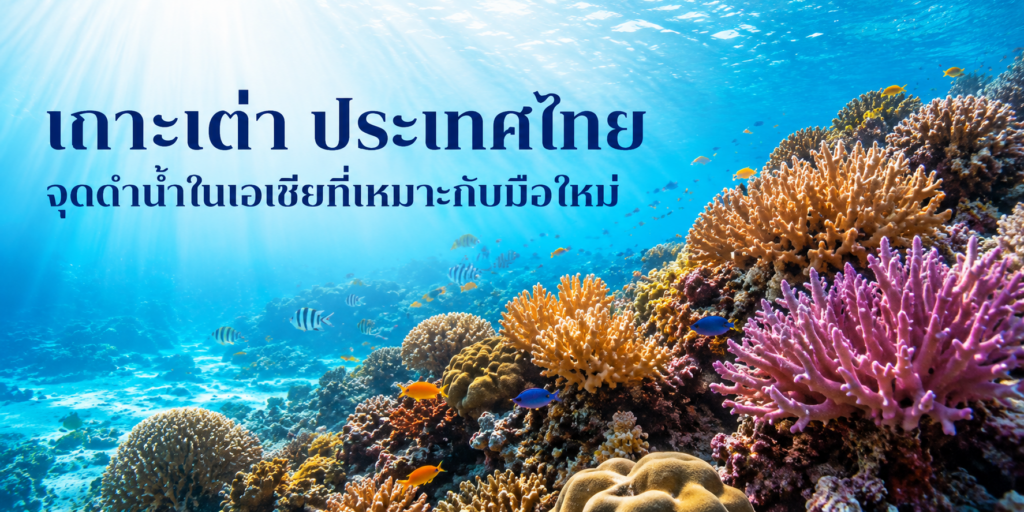 เกาะเต่า ประเทศไทย จุดดำน้ำในเอเชียที่เหมาะกับมือใหม่