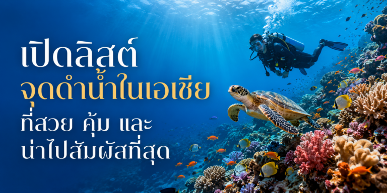 เปิดลิสต์ จุดดำน้ำในเอเชีย ที่สวย คุ้ม และน่าไปสัมผัสที่สุด